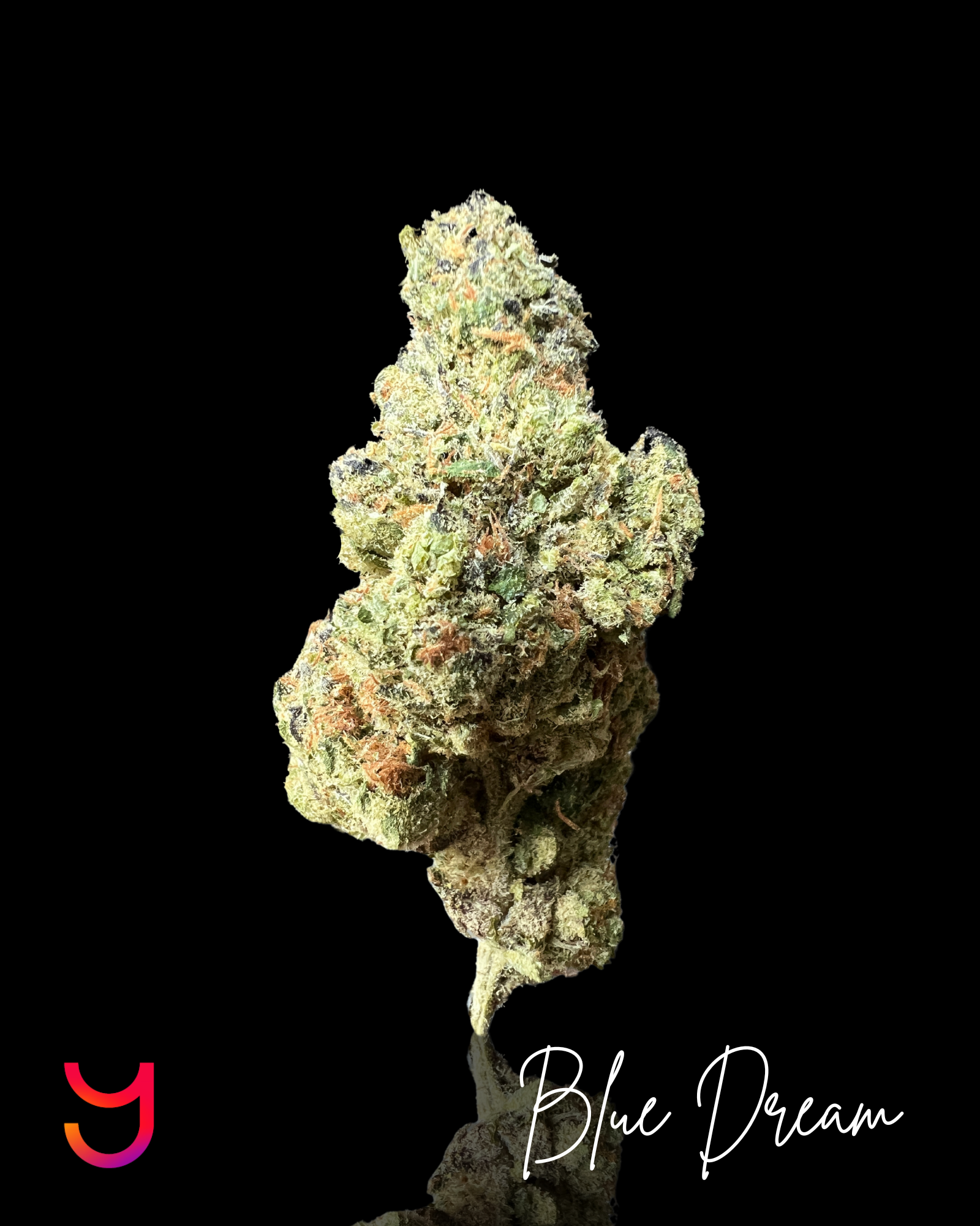 Blue Dream
