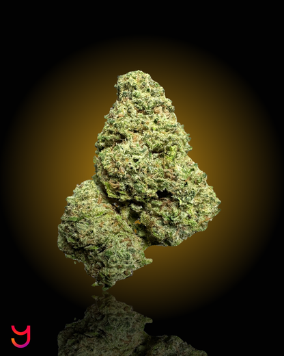 A close up picture of the YAGA Farms CBD Flower YAGA OG Light Assist bud. 