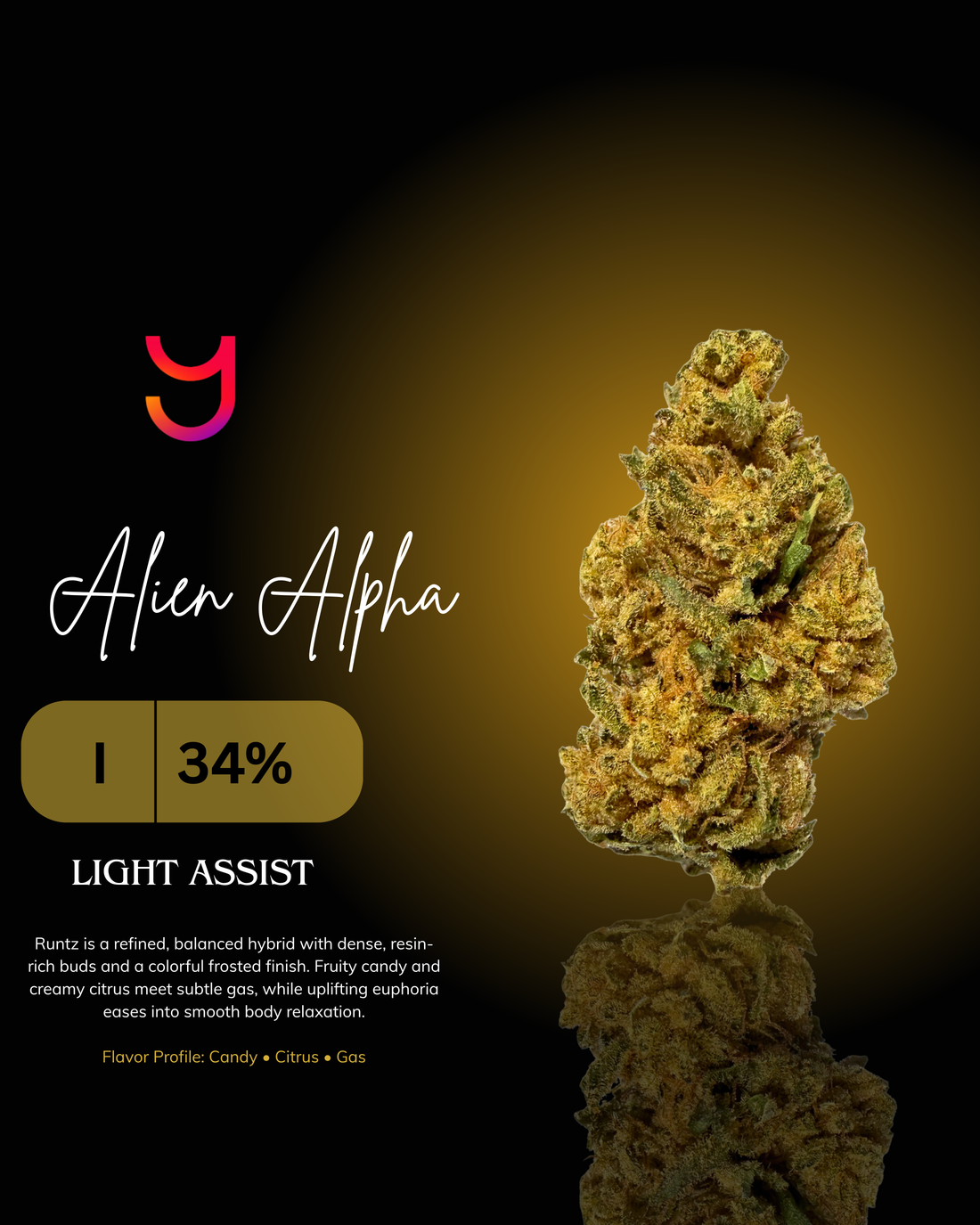 Alien Alpha