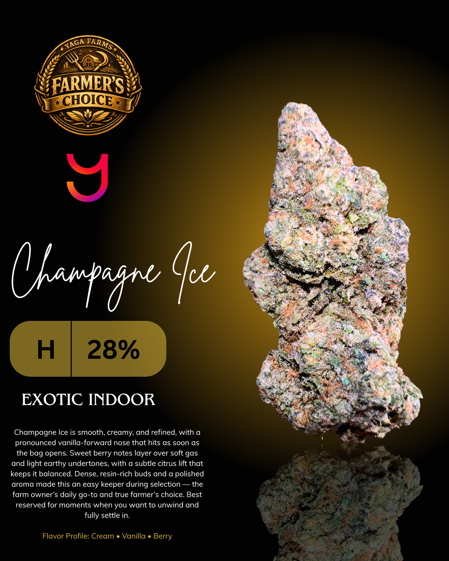 Champagne Ice THCa cannabis flower by YAGA Farms with dense resin-rich buds, creamy vanilla and berry terpene profile, exotic indoor Cali weed grown in California