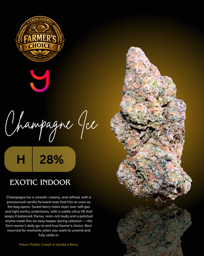 Champagne Ice THCa cannabis flower by YAGA Farms with dense resin-rich buds, creamy vanilla and berry terpene profile, exotic indoor Cali weed grown in California