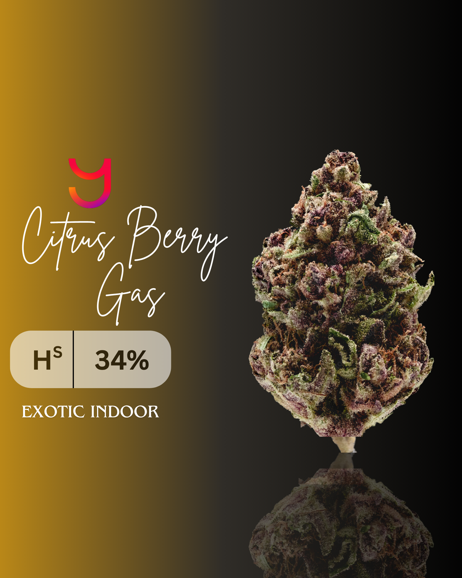 Citrus Berry Gas