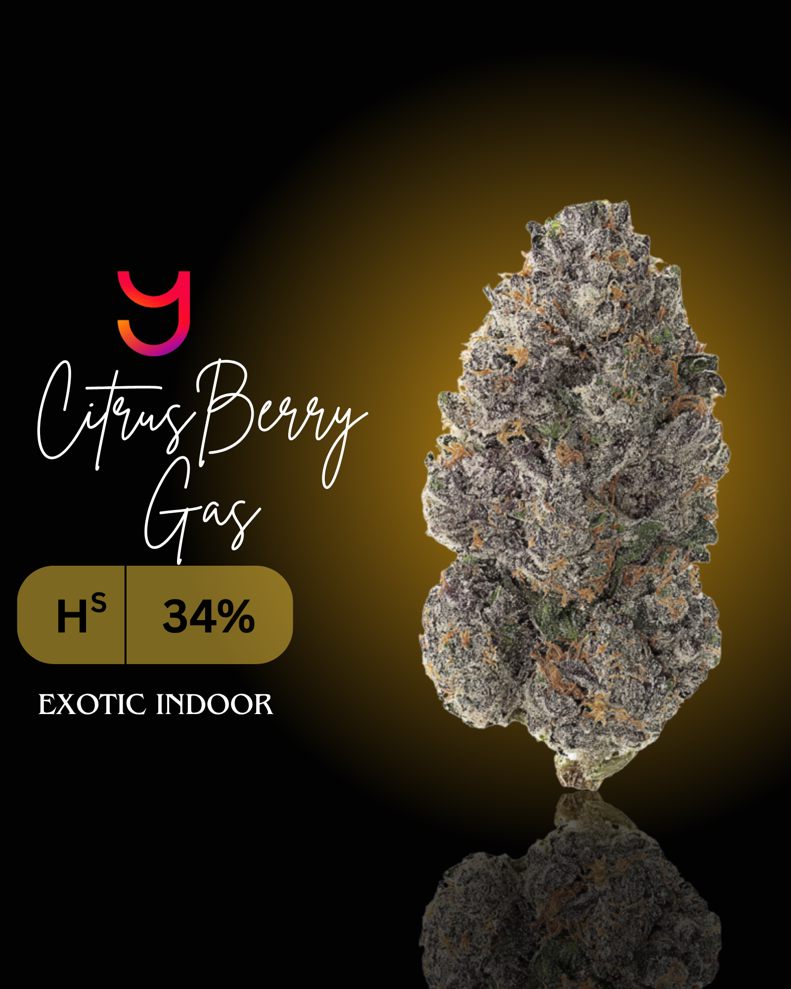 4/20 Deal: Exotic Indoor Flower $4.20/Gram
