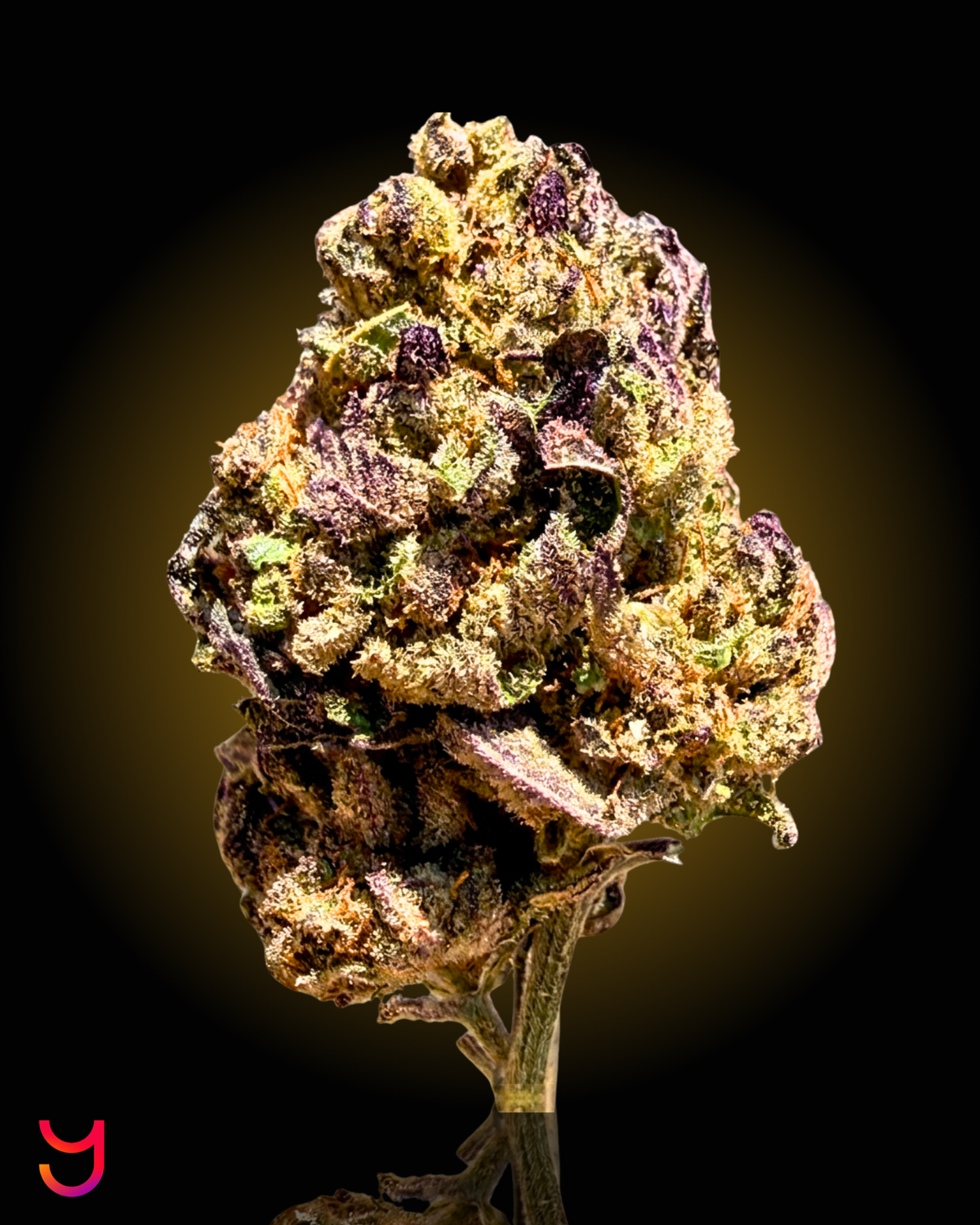 Citrus Berry Gas