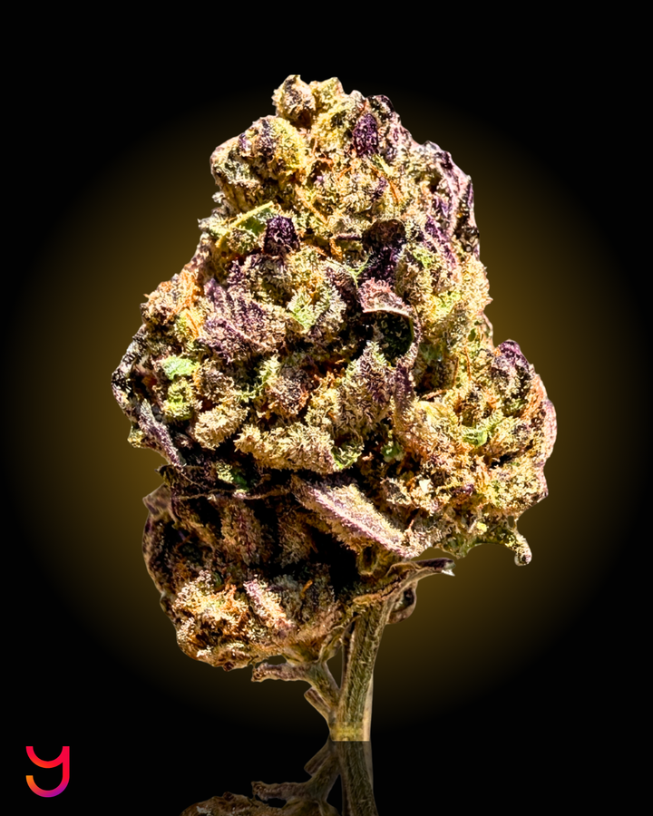 Citrus Berry Gas