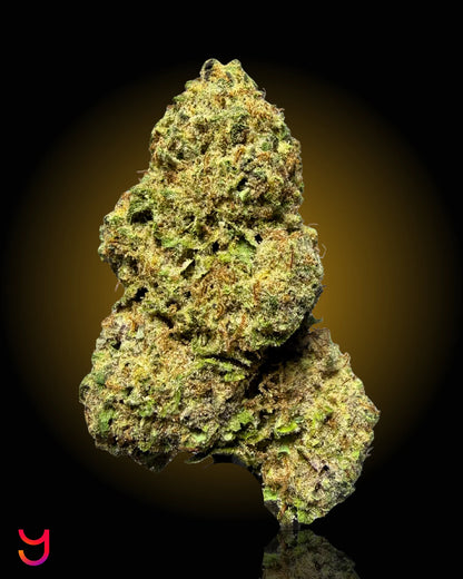 YAGA Farms Flash Flower Sale