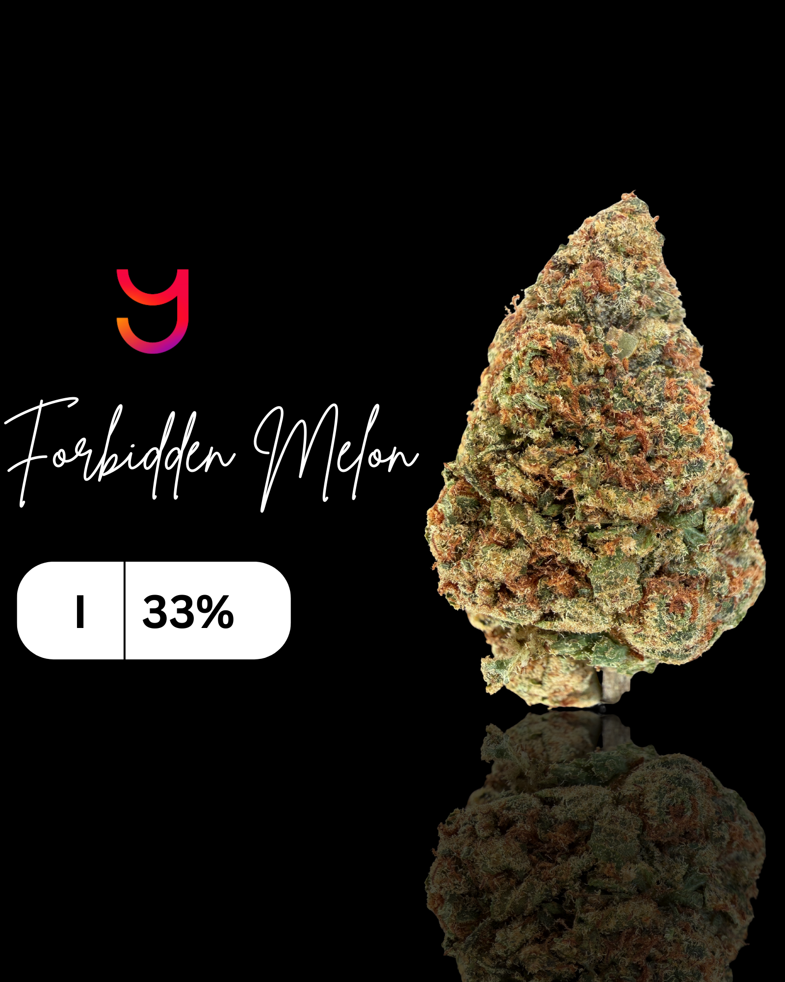 Forbidden Melon