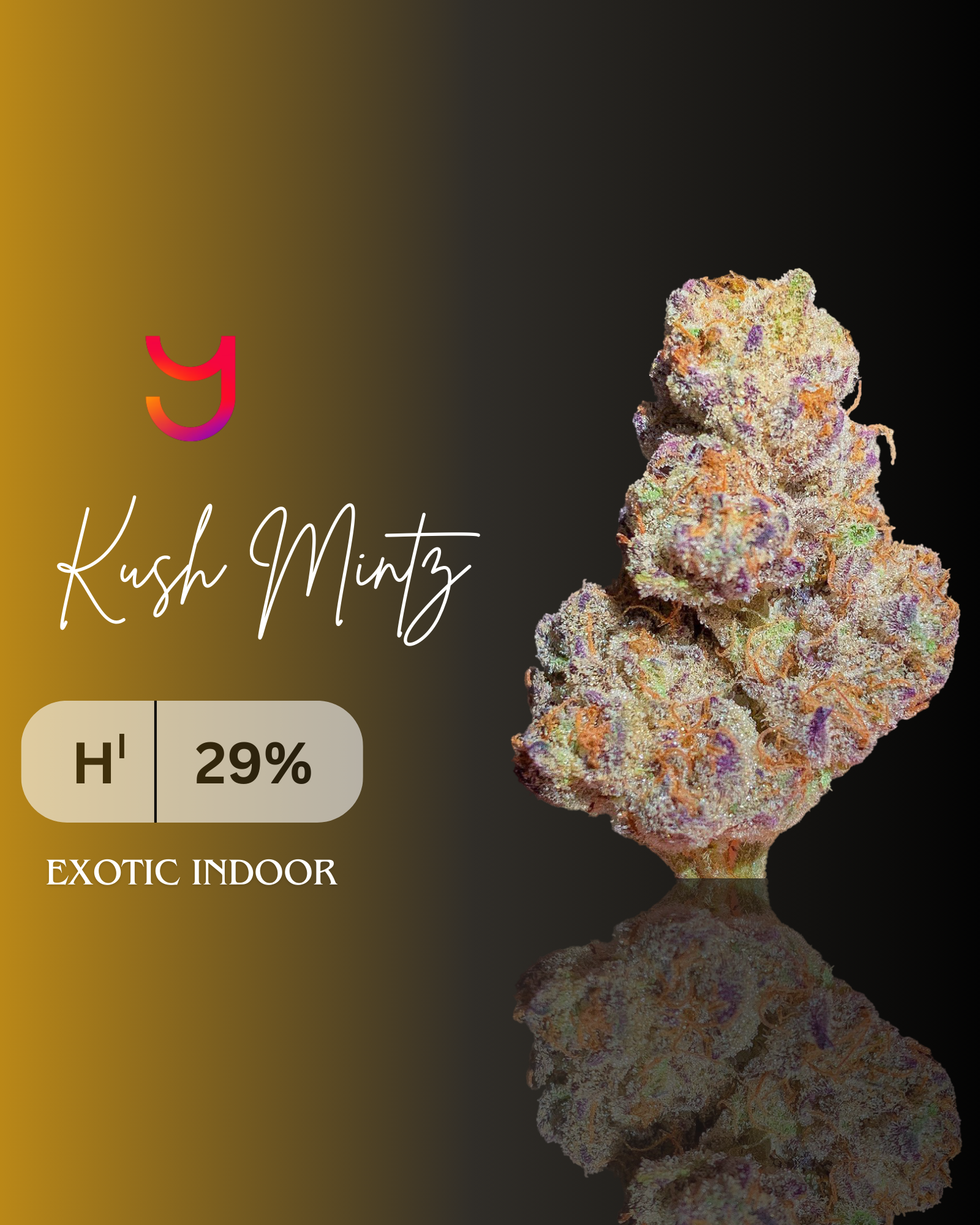 Close-up of YAGA Farms Kush Mintz cannabis flower — dense spear-shaped bud with green, purple, orange pistils, frosty white trichomes, labeled 29.32% THCa.