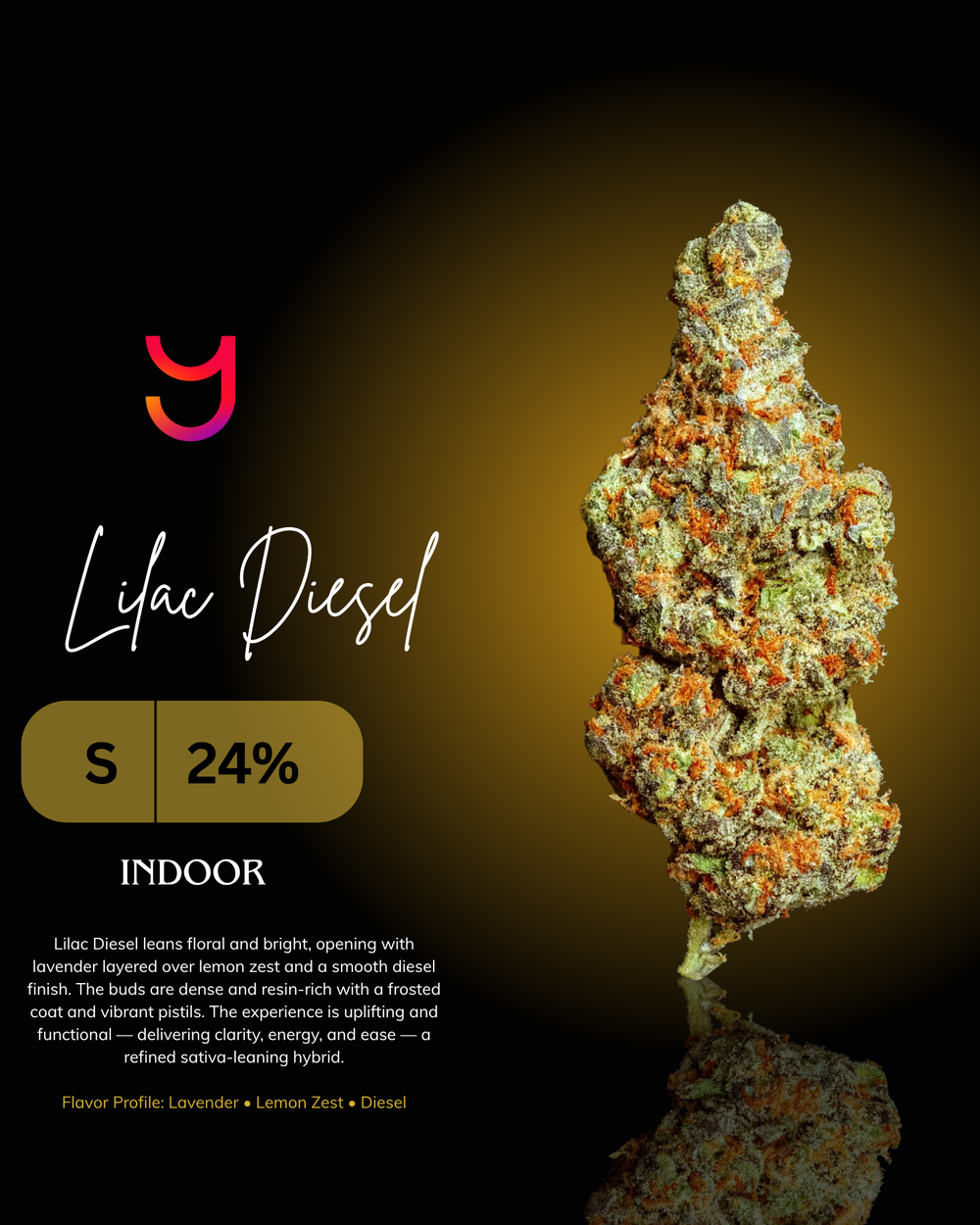 Lilac Diesel indoor cannabis flower by YAGA Farms featuring dense purple and green buds with bright orange pistils and heavy trichome coverage from Signature Collection small-batch cultivation in San Diego