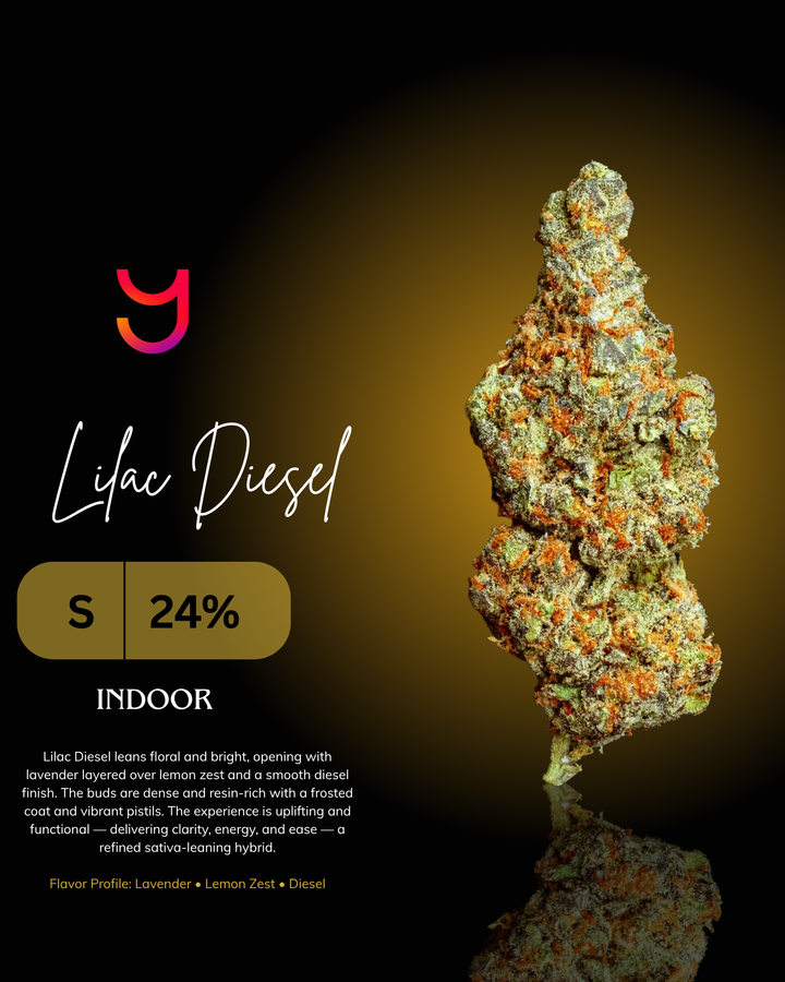 Lilac Diesel indoor cannabis flower by YAGA Farms featuring dense purple and green buds with bright orange pistils and heavy trichome coverage from Signature Collection small-batch cultivation in San Diego