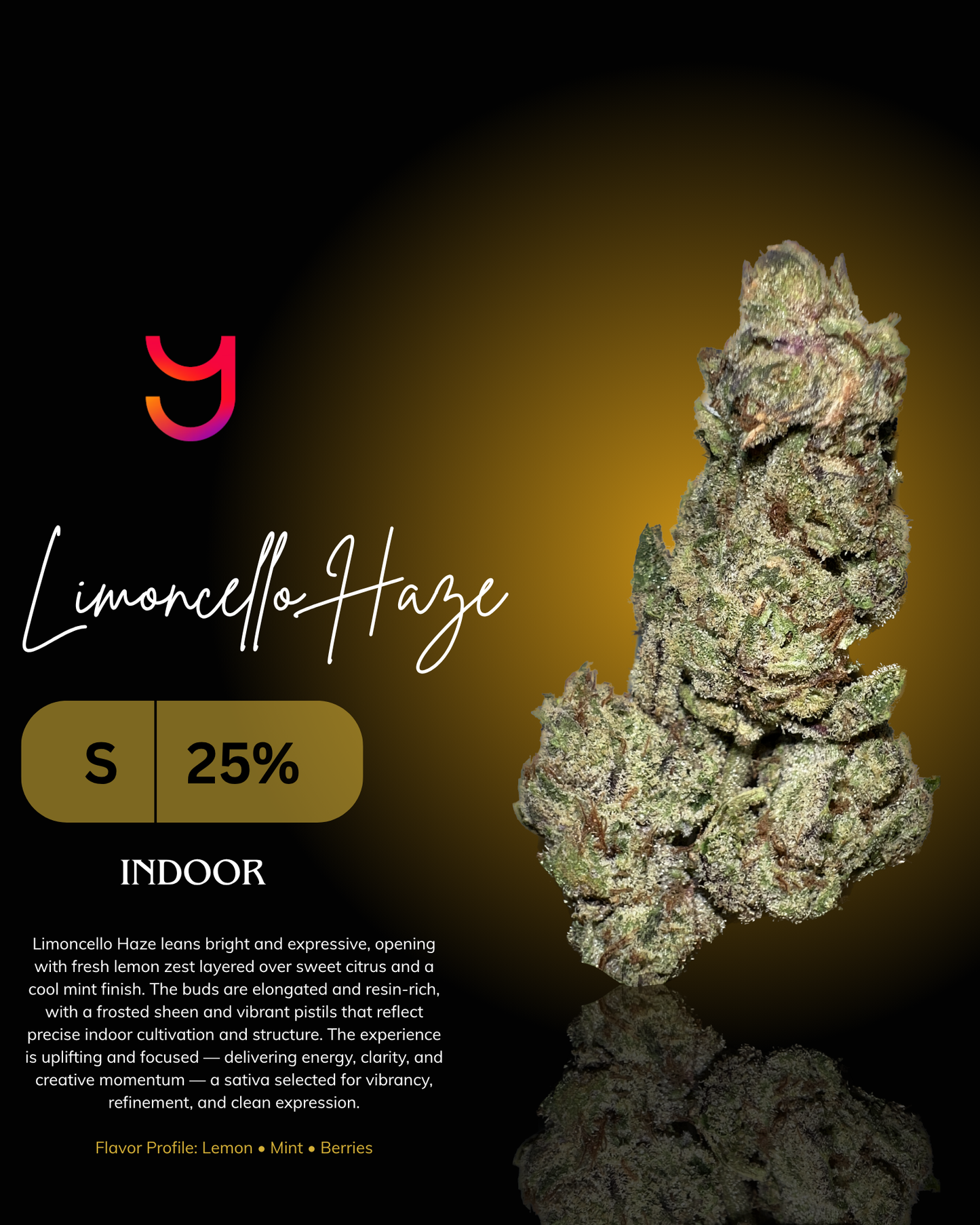 Limoncello Haze THCa flower close-up, dense elongated buds with heavy trichomes, green and purple hues, and bright orange pistils, indoor California cannabis