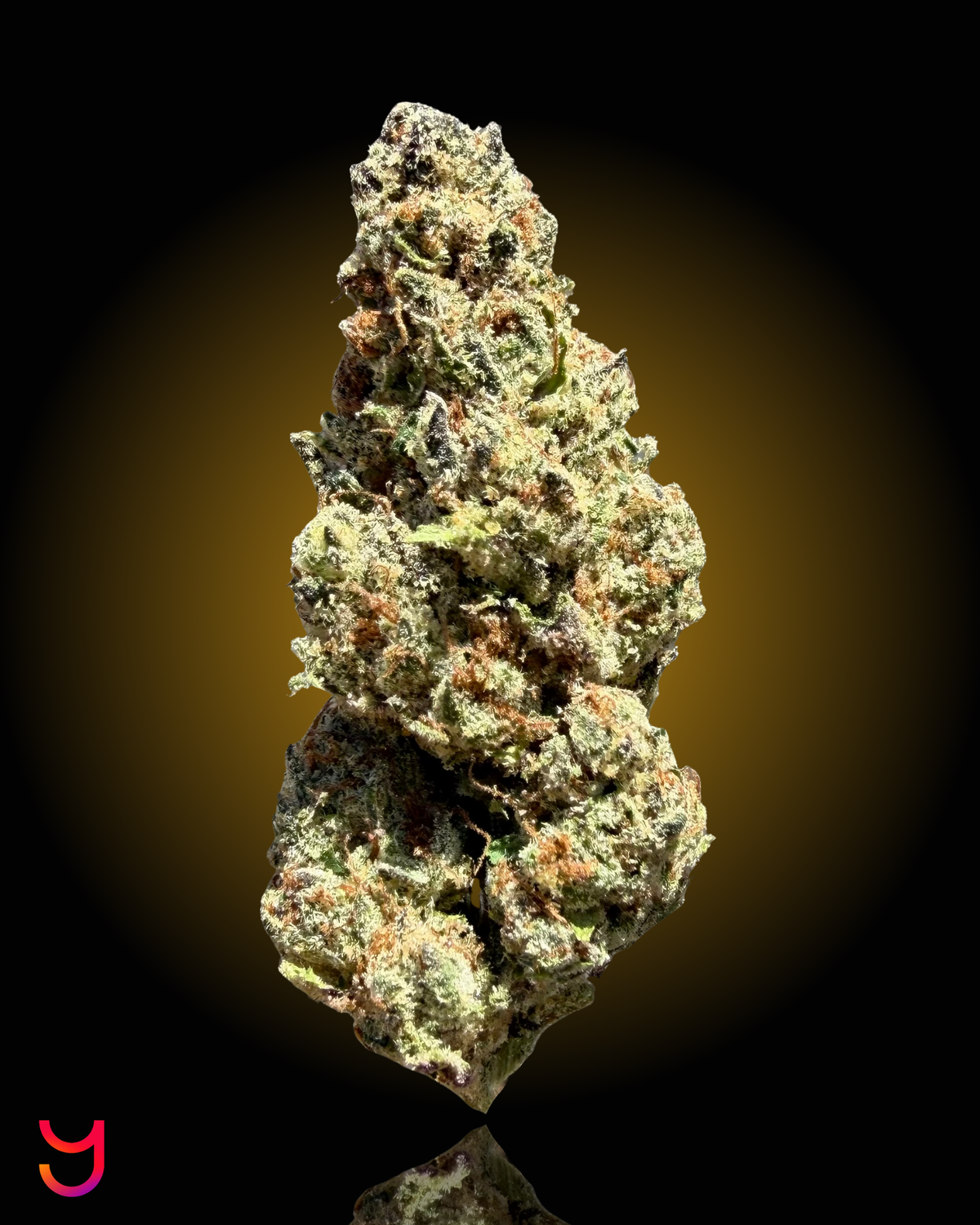 up close bud image of the YAGA_Farms_Cali_San_Diego_Cannabis_Flower_Limoncello_Haze_e7200edd