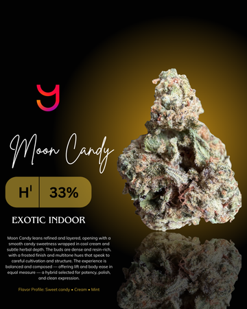 Moon Candy hybrid THCa cannabis flower bud by YAGA Farms showing dense, frosted trichomes and multitone green and purple hues