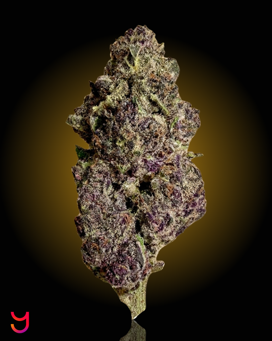 Trainwreck