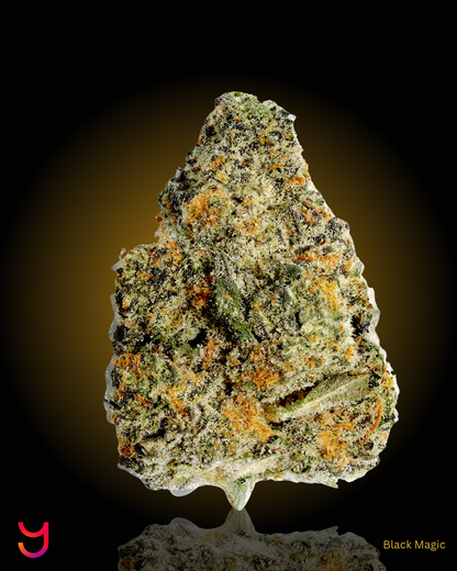 YAGA Farms Flash Flower Sale