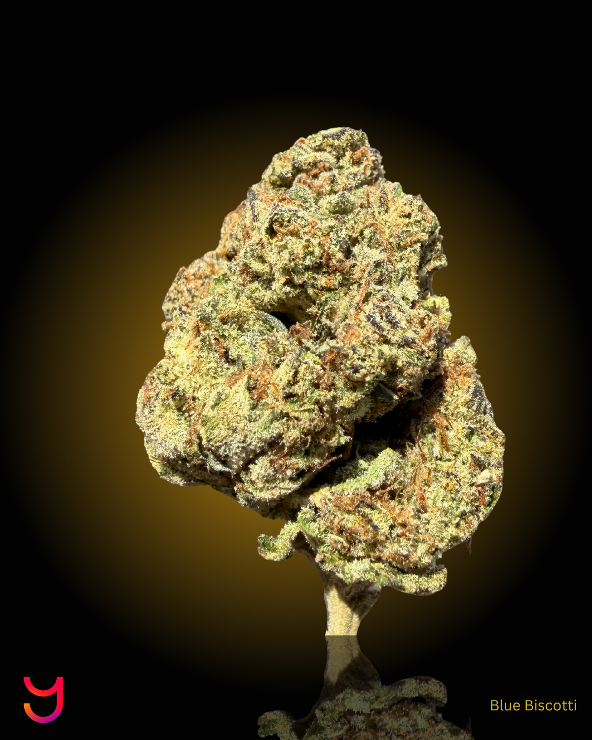 YAGA Farms Flash Flower Sale