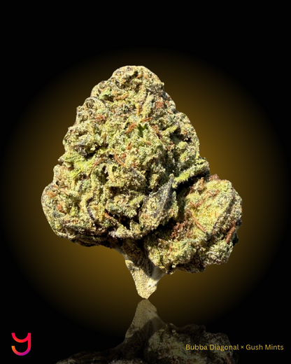 YAGA Farms Flash Flower Sale