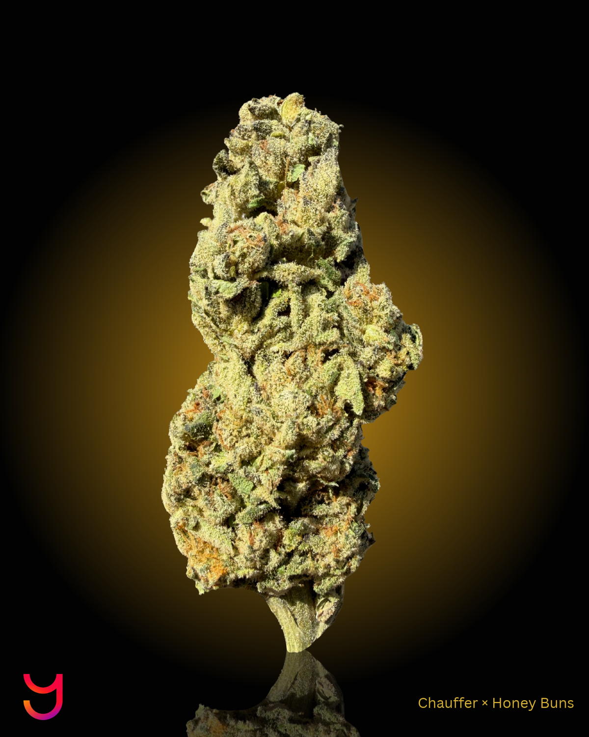 YAGA Farms Flash Flower Sale
