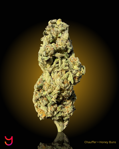 YAGA Farms Flash Flower Sale