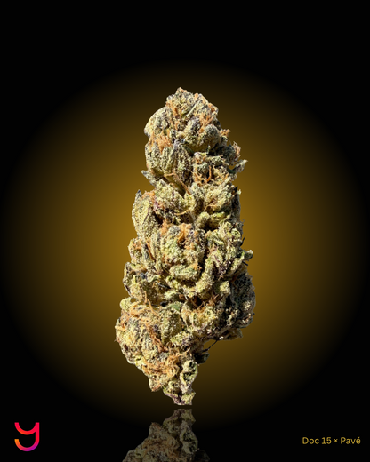YAGA Farms Flash Flower Sale