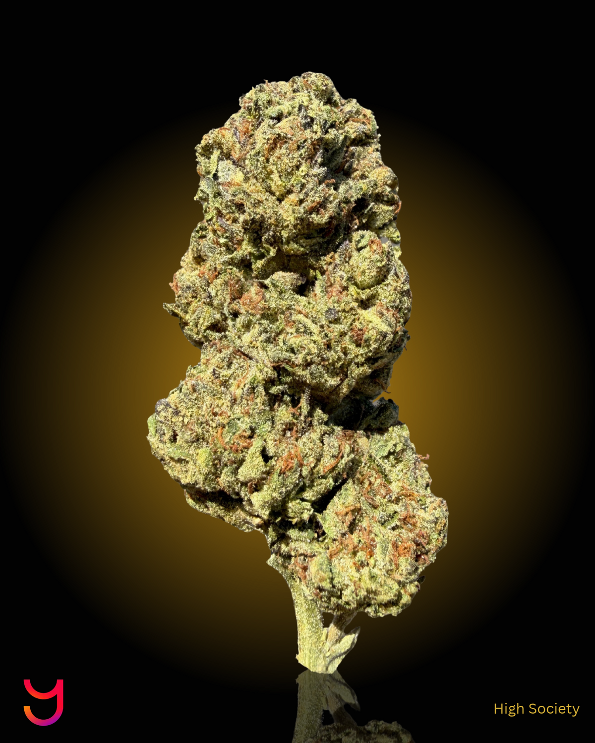YAGA Farms Flash Flower Sale