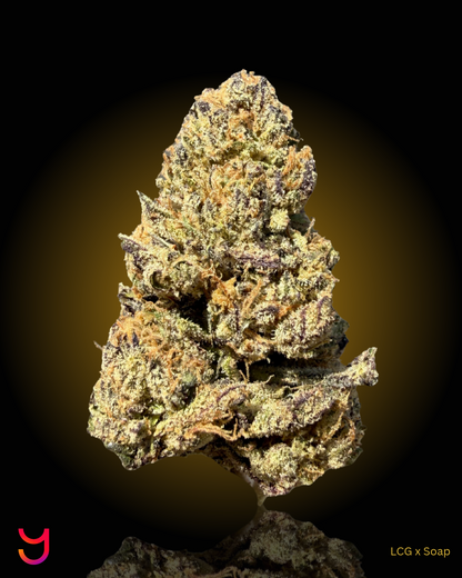 YAGA Farms Flash Flower Sale