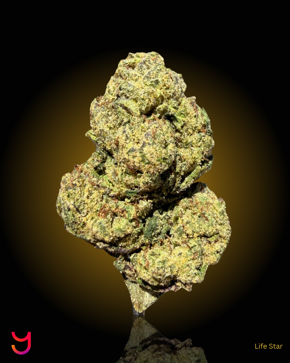 YAGA Farms Flash Flower Sale