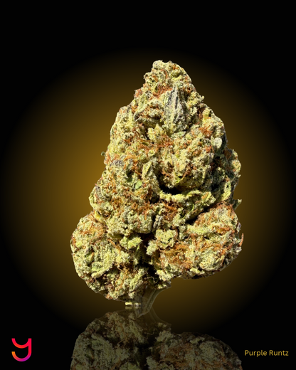 YAGA Farms Flash Flower Sale