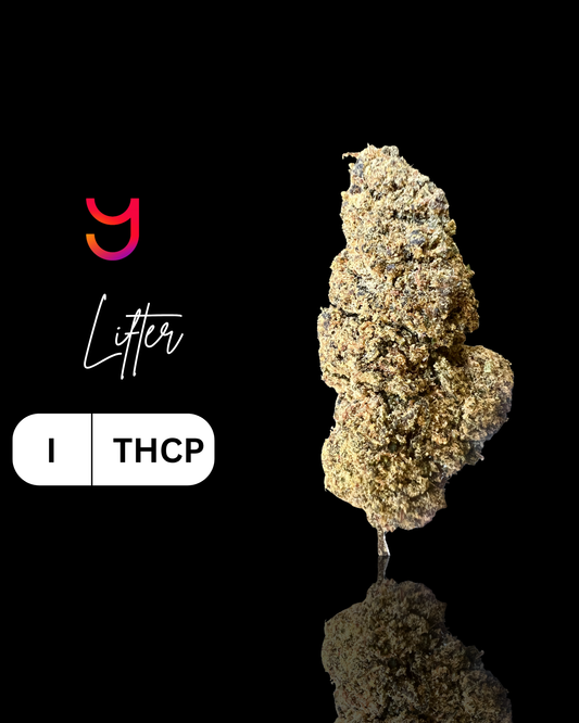 Lifter THCP