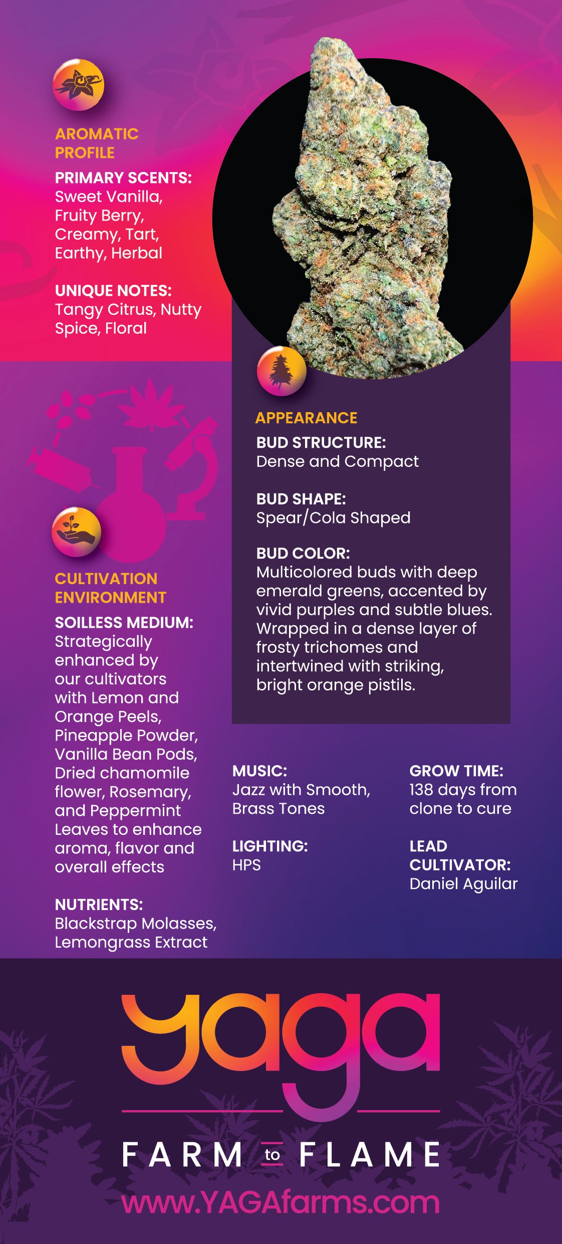 Champagne Ice strain details by YAGA Farms, featuring THCa potency, terpene profile, lineage, flavor notes, effects, and cultivation information. A sleek and informative design showcasing premium San Diego, California-grown cannabis.