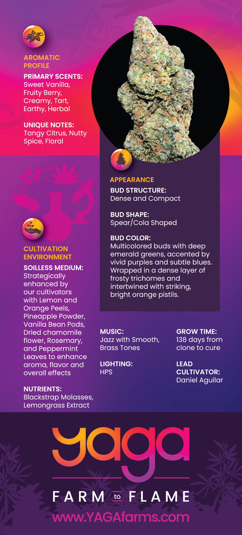 Champagne Ice strain details by YAGA Farms, featuring THCa potency, terpene profile, lineage, flavor notes, effects, and cultivation information. A sleek and informative design showcasing premium San Diego, California-grown cannabis.