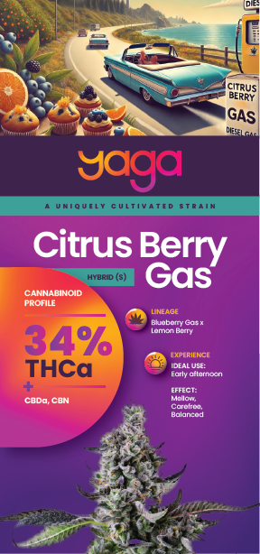 YAGA Farms Citrus Berry Gas rack card front displaying the strain name, premium THCa branding, vibrant design, and key highlights like lineage, aroma, and effects. 34% THCa