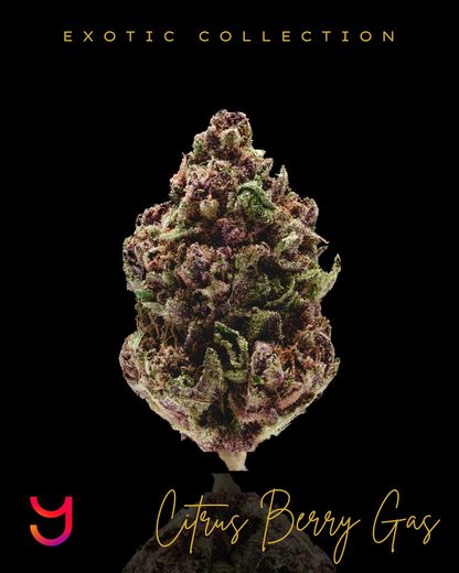 Citrus Berry Gas