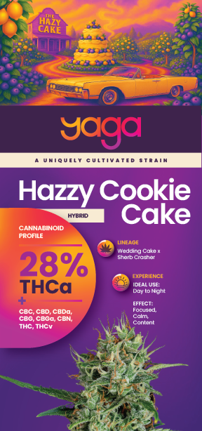 Hazzy Cookie Cake