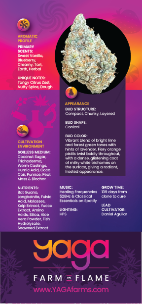 Back of YAGA Farms Hazy Cake rack card detailing lineage, grow time, cultivation process, and effects, with The YAGA Difference table highlighting Daniel Aguilar’s proprietary methods.