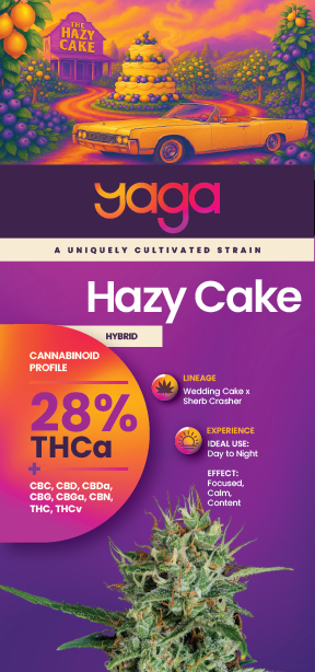 Front of YAGA Farms Hazy Cake rack card featuring strain name, THCa percentage, aroma profile, and vibrant branding with vanilla, berry, citrus, and floral visuals.