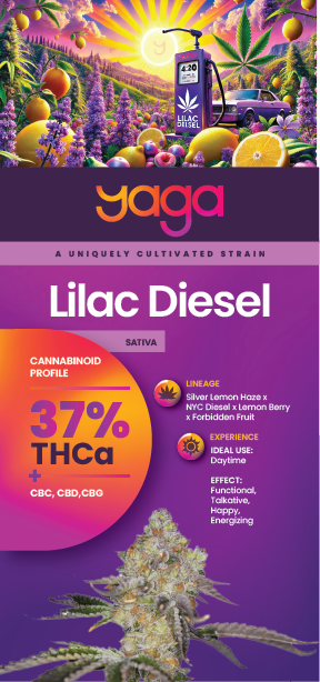 Front of YAGA Farms Lilac Diesel rack card featuring vibrant branding, a close-up of the strain’s buds, and key highlights of its aroma, effects, and genetic lineage.