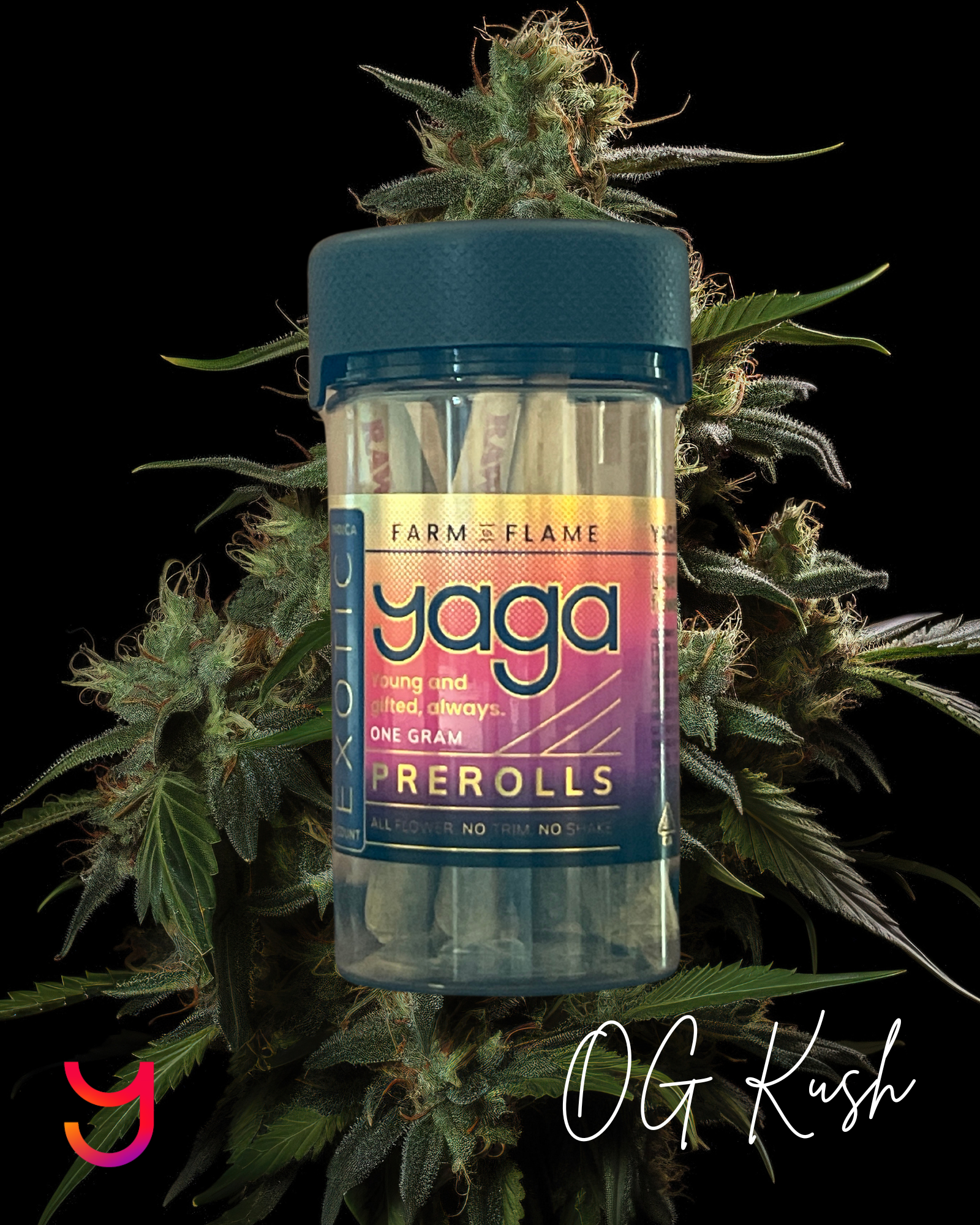1.2G Topshelf Preroll OG Kush