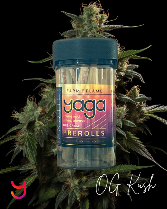 1.2G Topshelf Preroll OG Kush