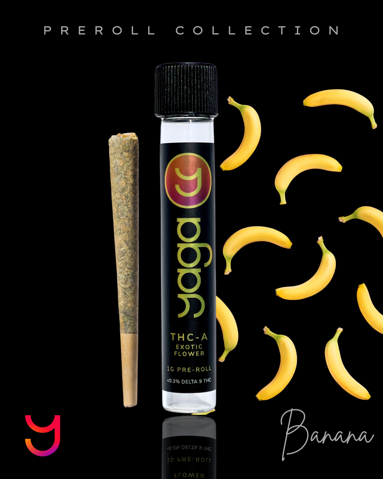 1G Topshelf Preroll Banana