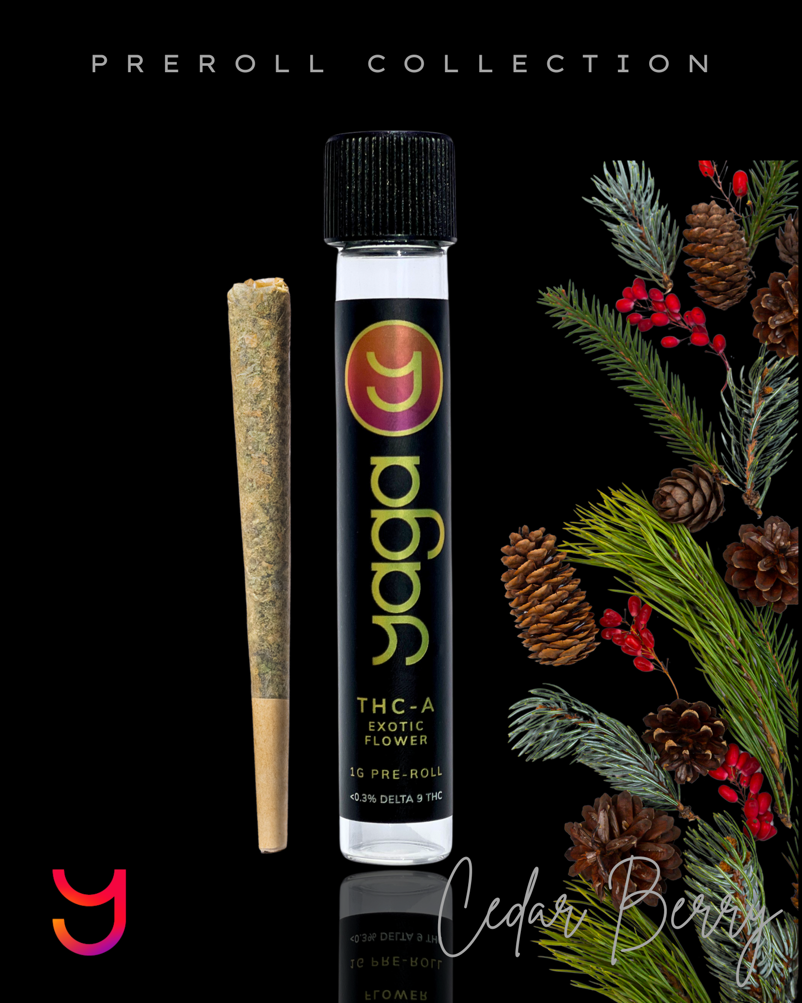 1G Topshelf Preroll Cedar Berry
