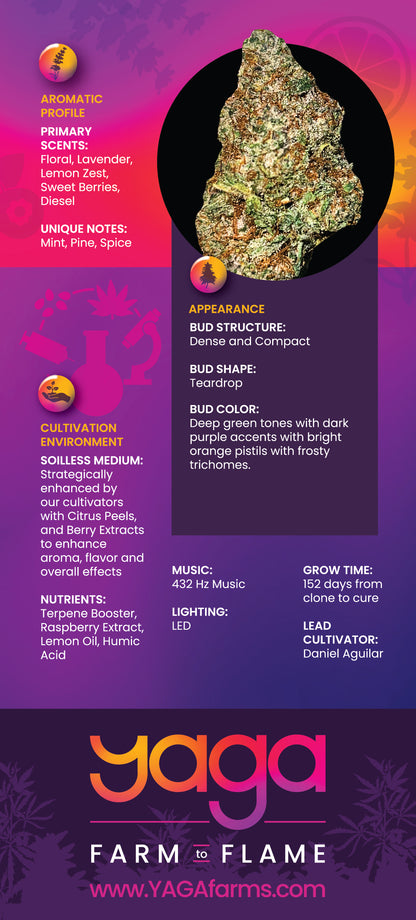 Back of YAGA Farms Lilac Diesel rack card with detailed information about its cultivation process, aroma profile, and suggested uses, along with YAGA Farms branding.