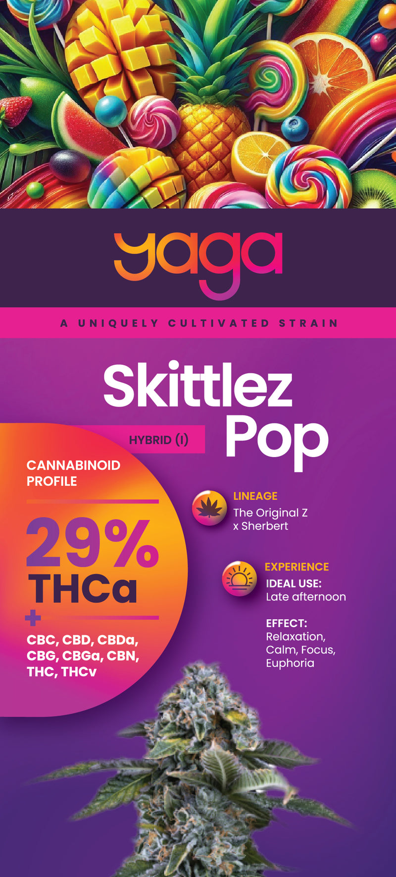 Skittlez Pop