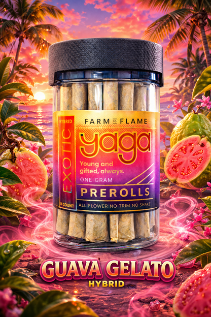Premium THCa Prerolls | 1G Indoor Flower Singles & 6 Packs