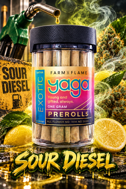 Premium THCa Prerolls | 1G Indoor Flower Singles & 6 Packs