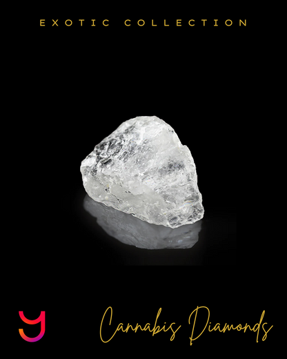 THCa Diamonds – YAGA Farms THCa Diamonds – YAGA Farms