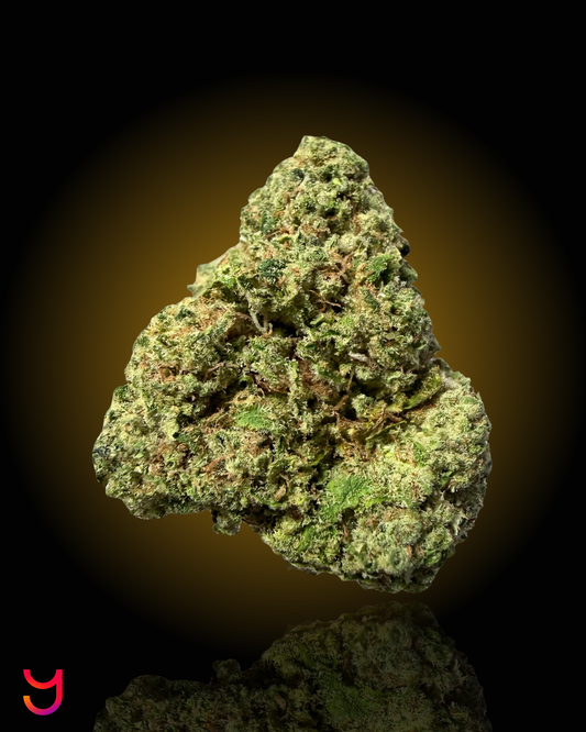 A close up picture of the YAGA Farms YAGA OG EXOTIC INDOOR CBD FLOWER. 
