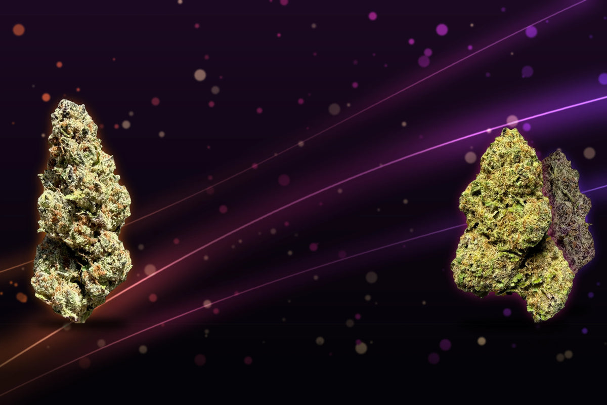 FLASH FLOWER SALE: OUNCES FROM $74.99