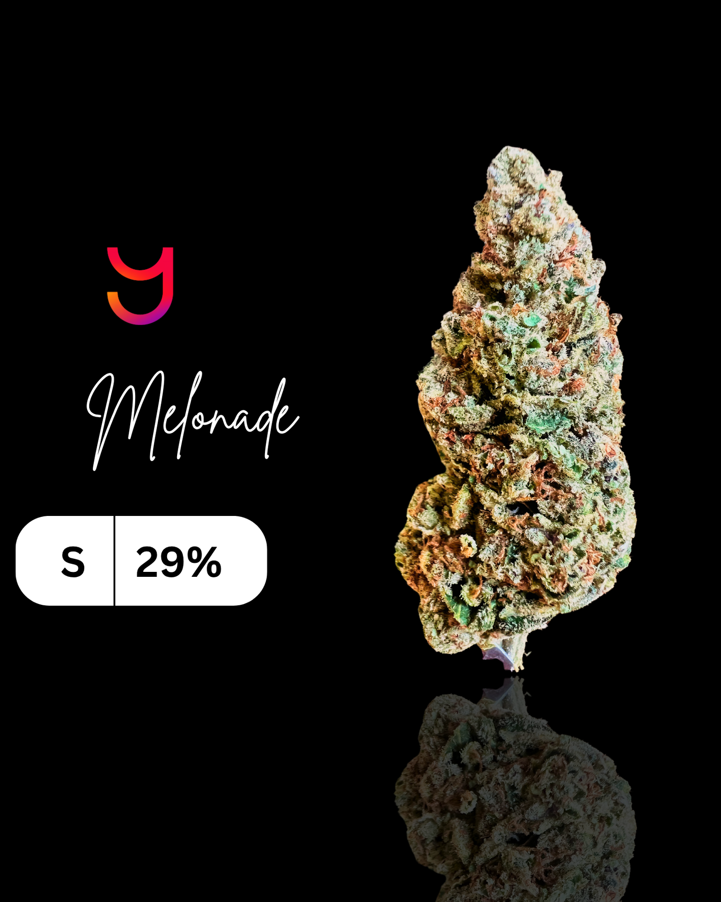 YAGA Farms Flash Flower Sale