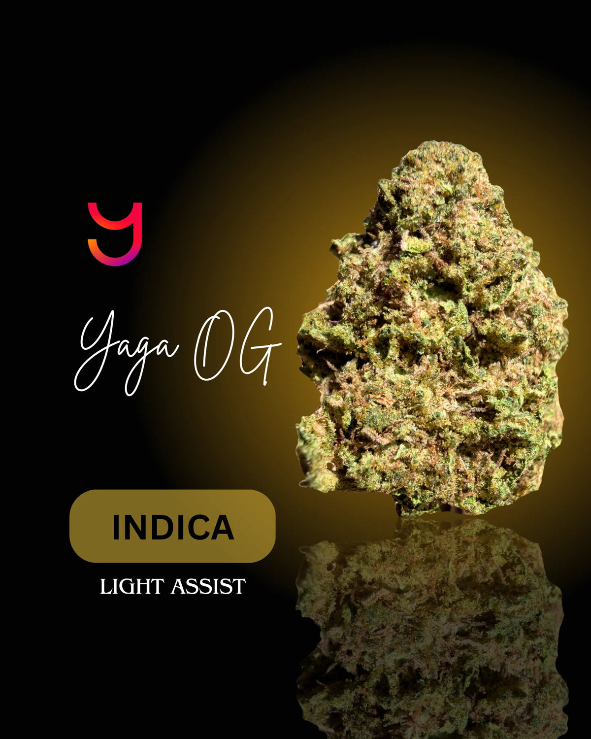 YAGA OG